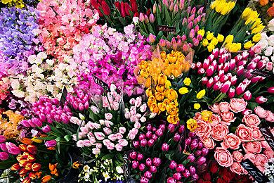 尼尔似乎否认《最后的生还者3》在开发：警惕假消息